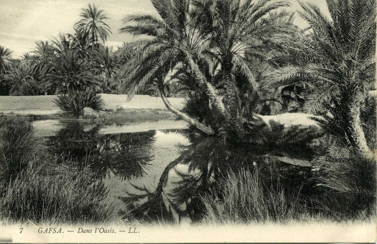 GAFSA. - Dans l'Oasis