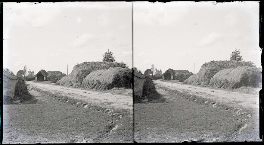Meules de foins, chaumière et moulins briérons (Loire-Atlantique).