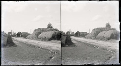 Meules de foins, chaumière et moulins briérons (Loire-Atlantique).