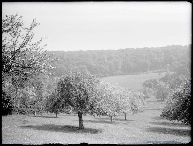 Pommiers en fleurs dans la campagne de Rosay-sur-Lieure (Eure).