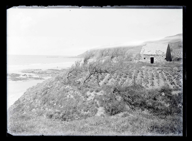 Rivage et potager sur le bord de la falaise.