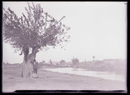 Périphérie de la ville de Tarse (Turquie) (notice PA).