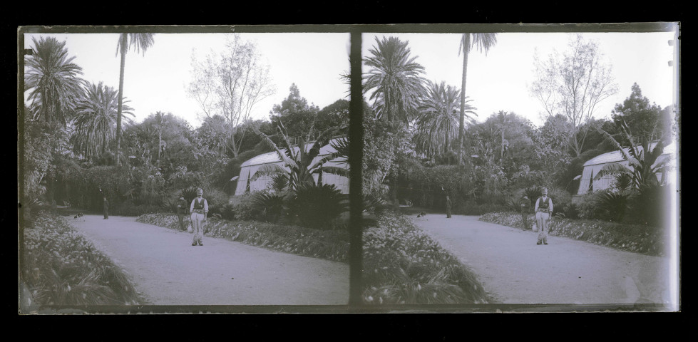 Jardin public d'Alger (Algérie).