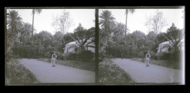 Jardin public d'Alger (Algérie).