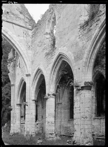 Ruines et vestiges de l'abbaye de Jumièges (Seine-Maritime).