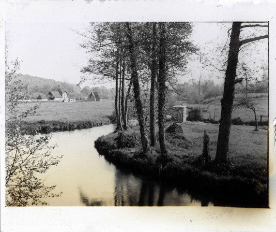 Campagne aux alentours des ruines de l'abbaye de d'Hambye à Percy (Manche).