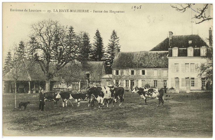 Haye-Malherbe (La). Ferme des Hoguettes.