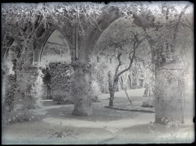 Jardin de cloître.