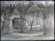Jardin de cloître.