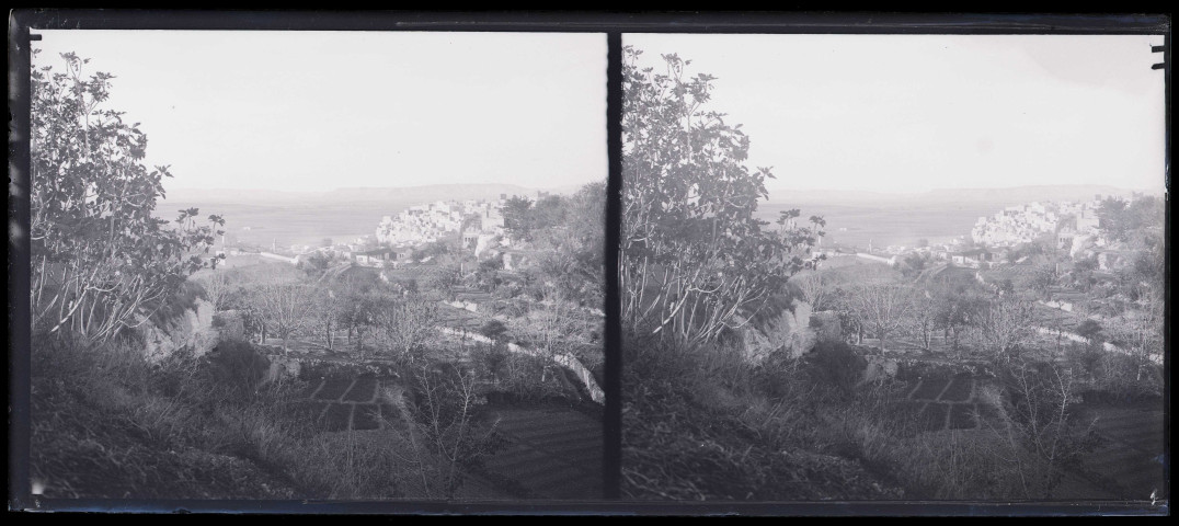 Vue de jardins en espalier.