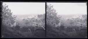 Vue de jardins en espalier.
