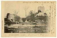 Château-sur-Epte. Les Ruines.