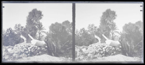 Paysan dans la campagne.