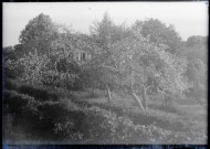 Pommiers en fleurs dans le jardin du presbytère de Rosay-sur-Lieure (Eure).