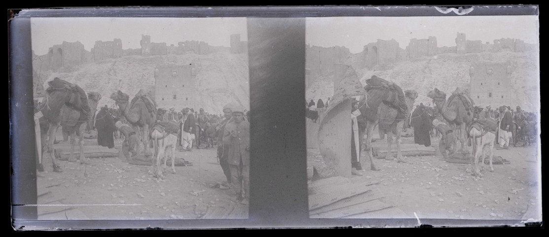 Caravaniers devant la citadelle d'Alep (Syrie).
