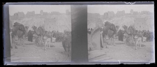 Caravaniers devant la citadelle d'Alep (Syrie).