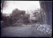 Jardin arboré.