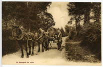 Divers. Le Transport du Cidre.