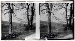 Vue sur la campagne normande.