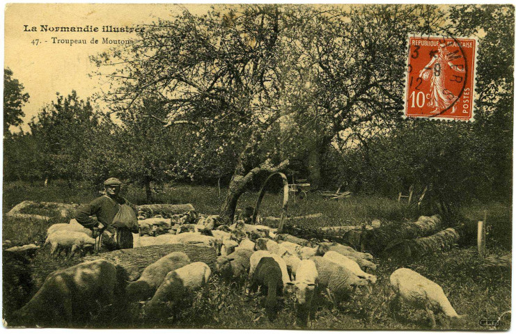 Divers. La Normandie illustrée. - Troupeau de Moutons.