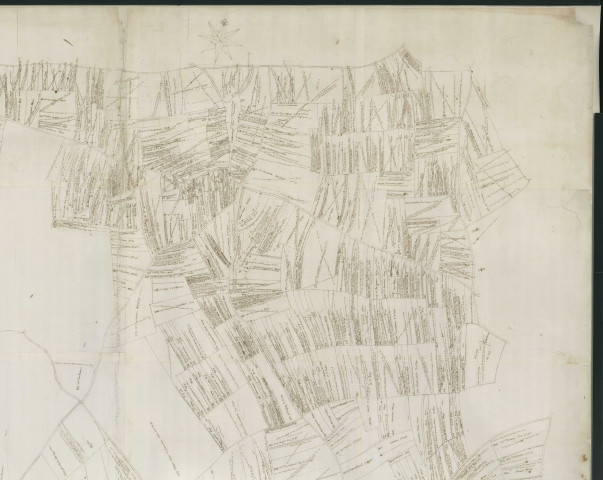 Essarts (Les) - Plan de la seigneurie d'Arpentigny. *