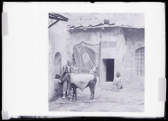 Homme et son âne à la fontaine d'Ourfa (Turquie).