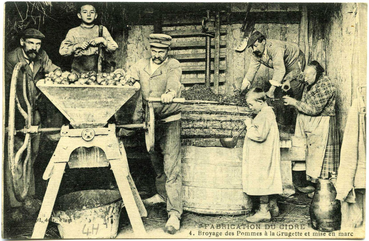 Divers. Fabrication du Cidre. - Broyage des Pommes à la Grugette et mise en marc.