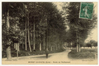 Boissey-le-Châtel. Route du Theillement.