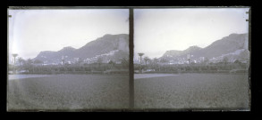 Vue générale d'une ville et château médiéval sur le haut de la colline.