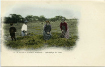 Divers. A travers la Campagne Normande. - Le Bottelage des Foins.