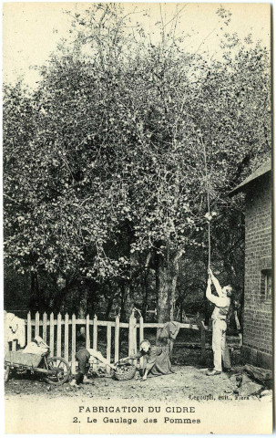 Divers. Fabrication du Cidre. - Le Gaulage des Pommes.