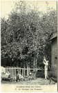 Divers. Fabrication du Cidre. - Le Gaulage des Pommes.