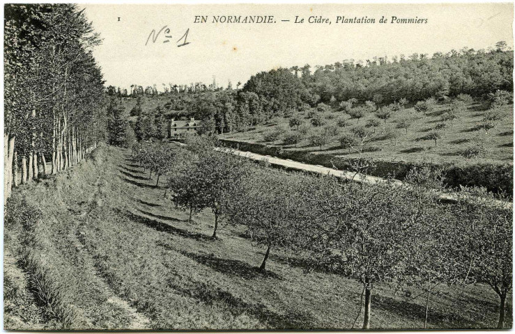 Divers. En Normandie. - Le Cidre, Plantation de Pommiers.