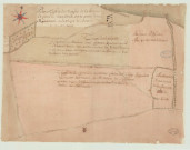 Tostes - "Plan et figure des trièges de La Hayette et couture du mitan scituées sur la paroisse de Toste". *