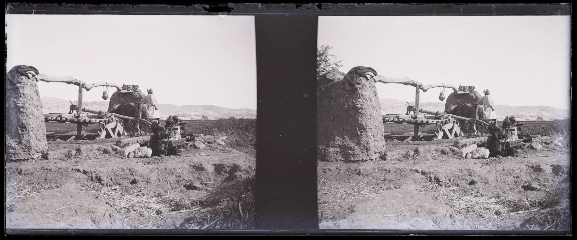 Marchands de canisses au pied du bastion d'Alep (Syrie).
