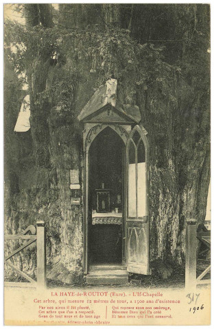 Haye-de-Routot (La). L'If-Chapelle. Cet arbre, qui mesure 12 mètres de tour, a 1500 ans d'existence.