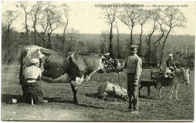 Divers. Scènes de la Vie Normande. - Servante trayant sa vache.