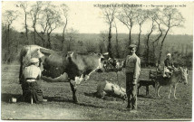 Divers. Scènes de la Vie Normande. - Servante trayant sa vache.