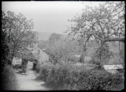 Pommiers en fleurs dans la campagne de Rosay-sur-Lieure (Eure).
