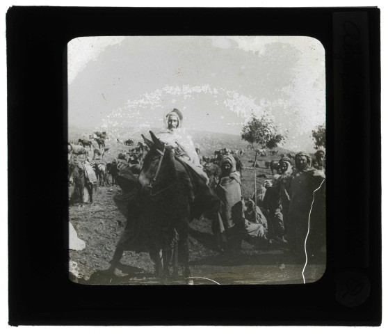 Cavalier arabe en Algérie.