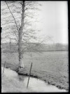 Vue de la campagne de Ménesqueville (Eure).