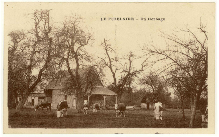 Fidelaire (Le). Un Herbage.
