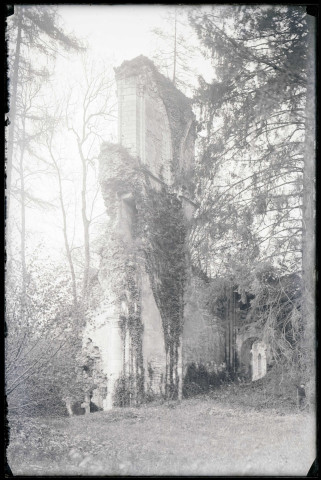 Ruines et vestiges de l'ancienne abbaye de Mortemer de Lisors (Eure).