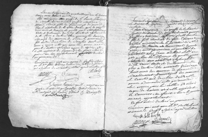 Déclarations de coupes de bois et d'armes à feu, déclarations de grossesse