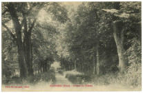 Houlbec. Avenue du Château.