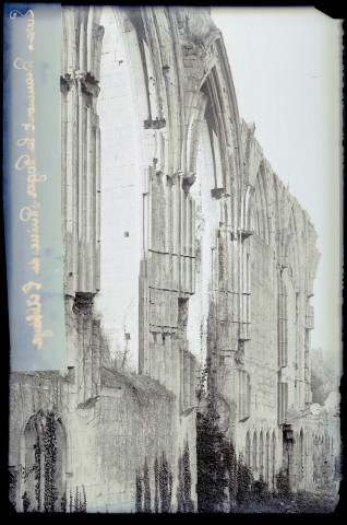 Ruines de l'abbaye de Beaumont-le-Roger (Eure).