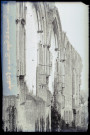 Ruines de l'abbaye de Beaumont-le-Roger (Eure).