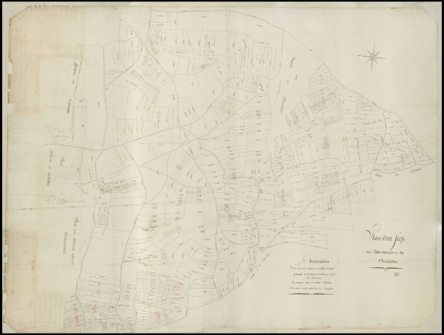Minières (Les) - "Plan des fiefs des Petites Minières et du Boisricher". *