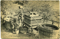 Divers. En Normandie. - Le Cidre, un Pressoir.