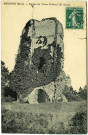 Brionne. Ruines du Vieux Château (Xe siècle).
